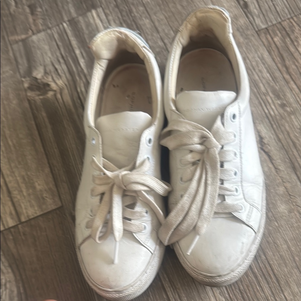 Sophia Webster White Sneakers Minimalist Design